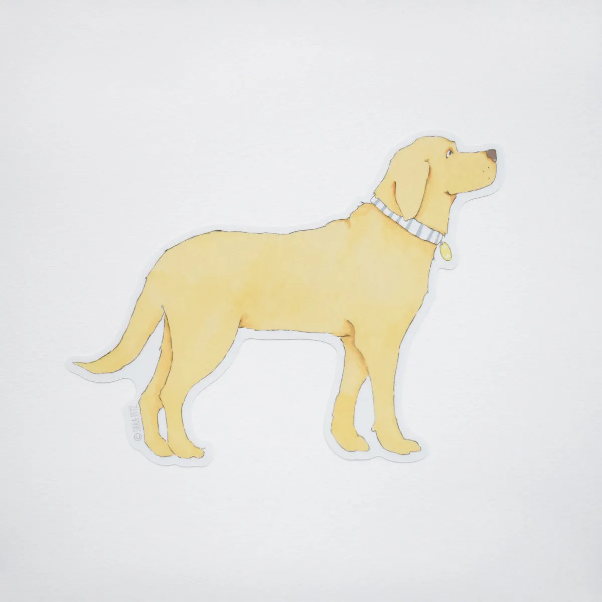 Golden Pup Sticker