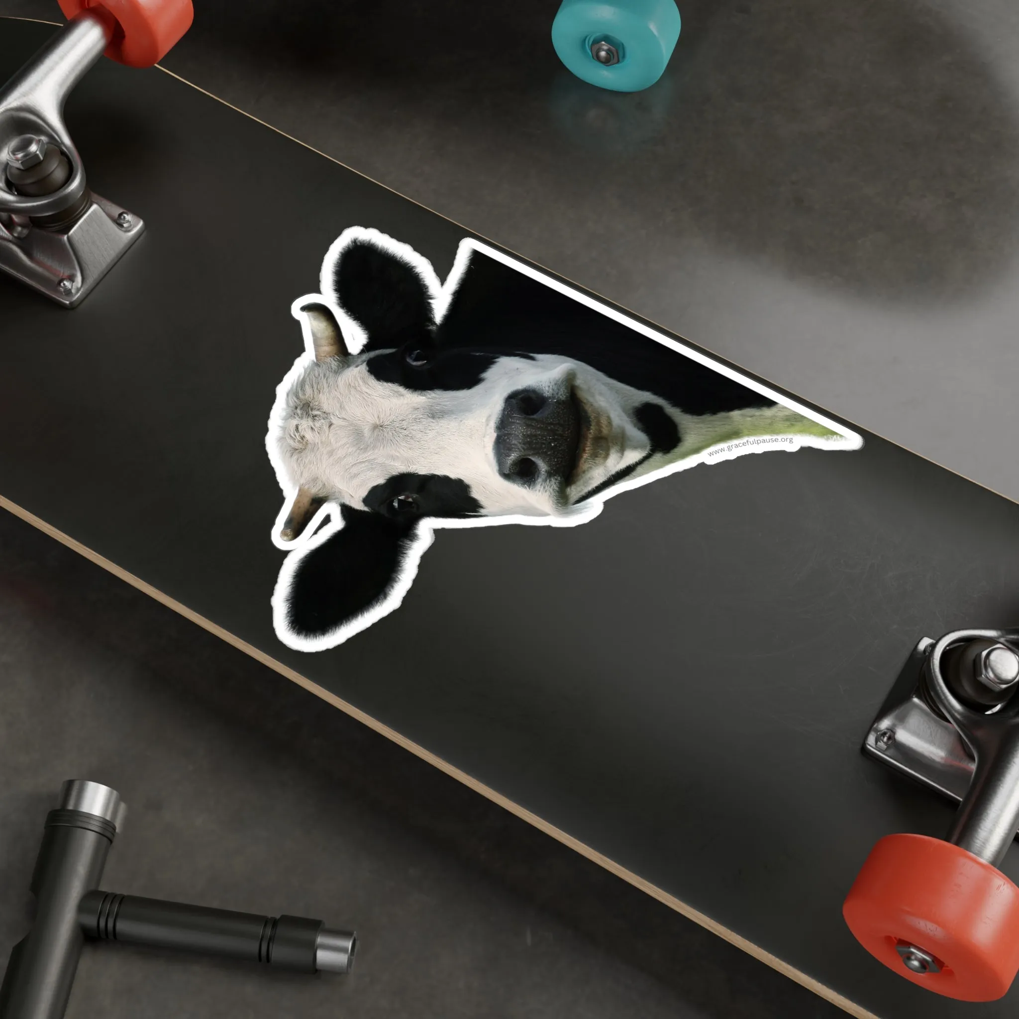 Staring Cow - indoor/outdoor Kiss-Cut Vinyl Decals