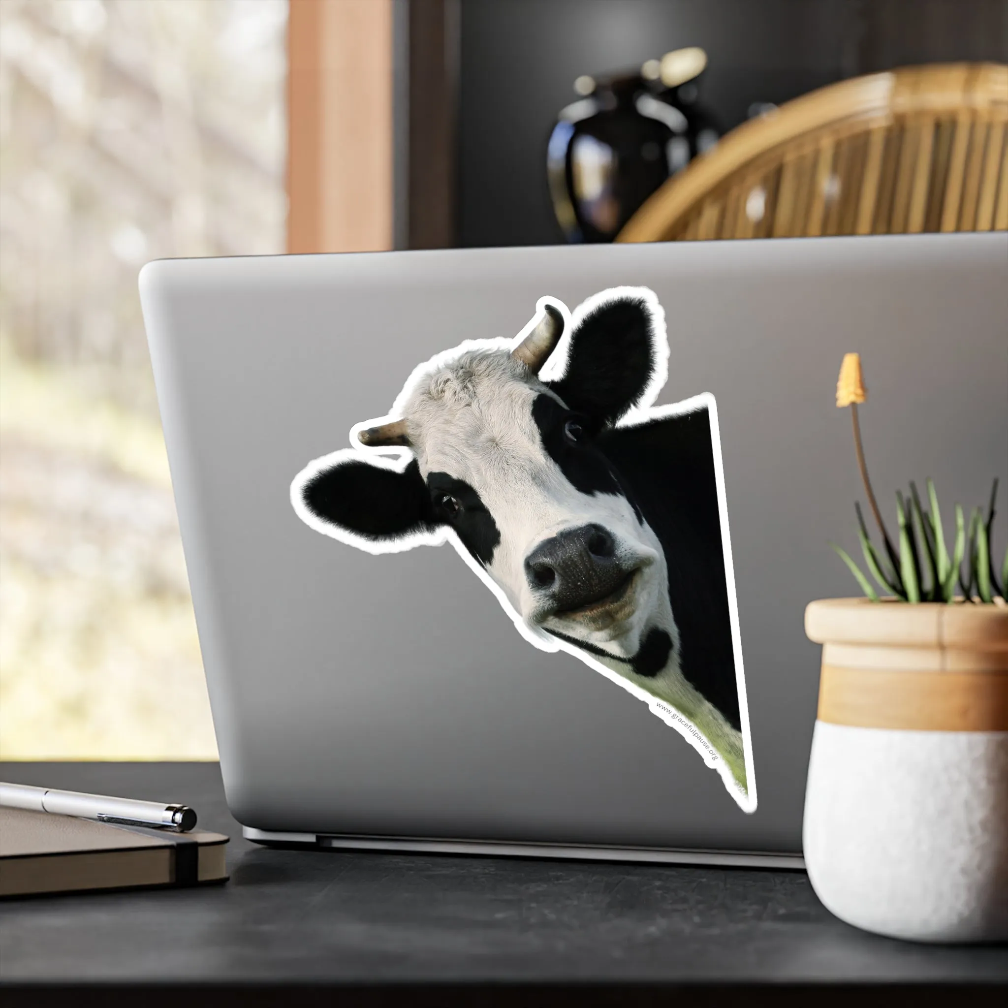 Staring Cow - indoor/outdoor Kiss-Cut Vinyl Decals